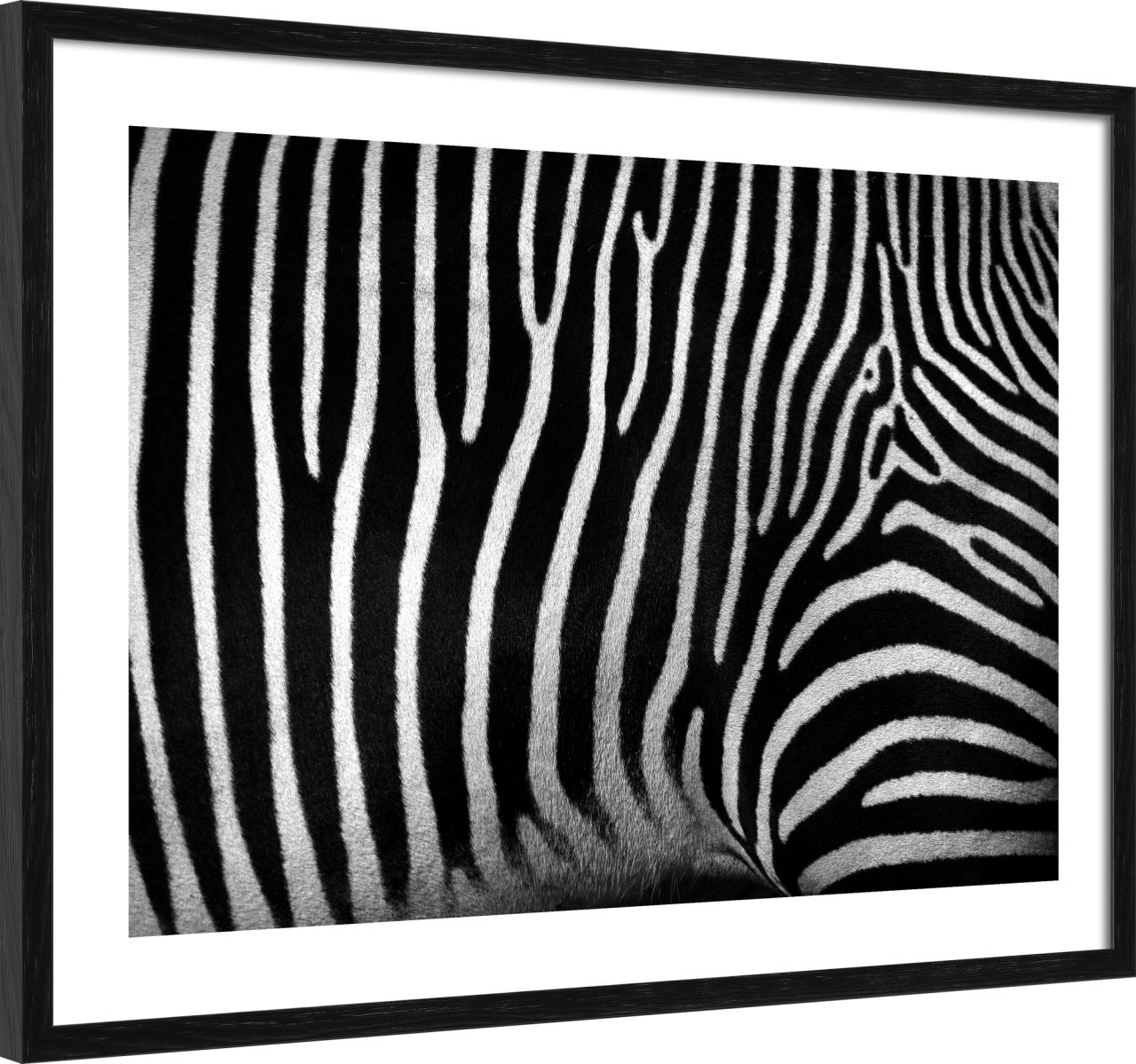 DECOPOSTER BLACK DPL2 - laterale