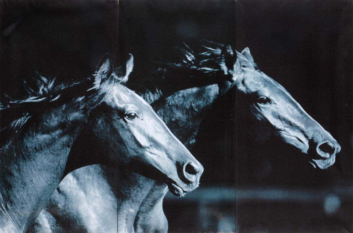 Set 3 canvas 30×60 two horses