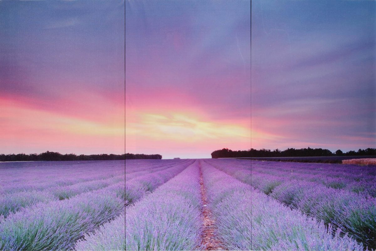 Set 3 canvas 30×60 lavender