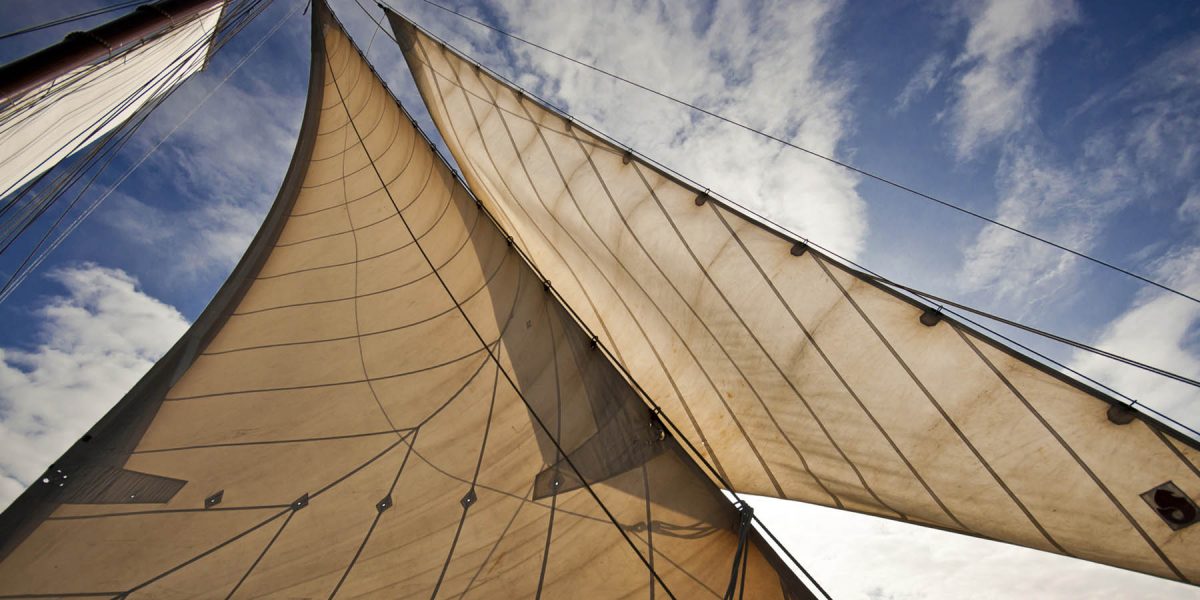 Canvas 50×100 sails