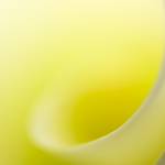 Glossy/aa02 100×150 yellow calla